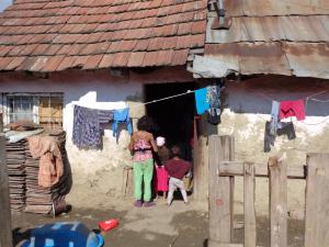 2014-10 DSC01415 (Large)