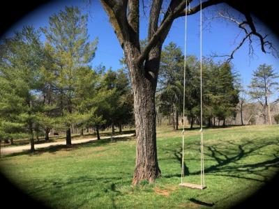 2015-03 IMG_20150331 11102695_10204178219521124_8128744333959378246_n farmhouse lawn swing classic (Large)