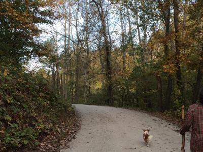 2015-10 IMG_1949 mill pond road walk (Large)