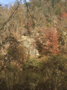 Mill Pond Road. October 2015