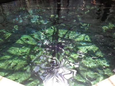 2014-05 DSC00407 jefferson pools interior (Large)