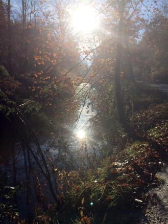 2015-10 IMG_2173 creek sunrise (Large)