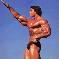 arnold-schwarzenegger-bodybuilding-style-pictrure.jpg