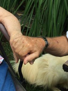 2016-07 IMG_4933 hustons hold hands (Large)